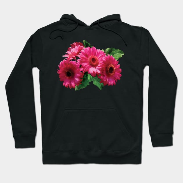 Daisies - Dark Pink Gerbera Daisies Hoodie by SusanSavad